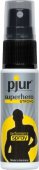 - Pjur Super Hero Strong Spray (20 ) -     -   ..    .                 !</