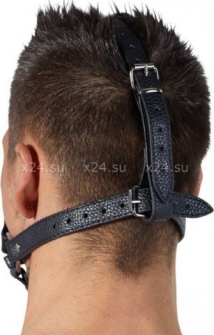 -     Head Harness,  3, -     Head Harness